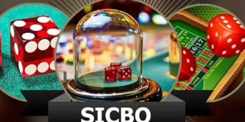 Sicbo Jun88 Là Gì? Bật Mí Cách Chơi Sicbo Hiệu Quả Cao