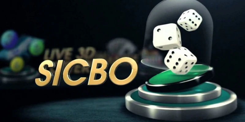 Tìm hiểu thế nào là Sicbo